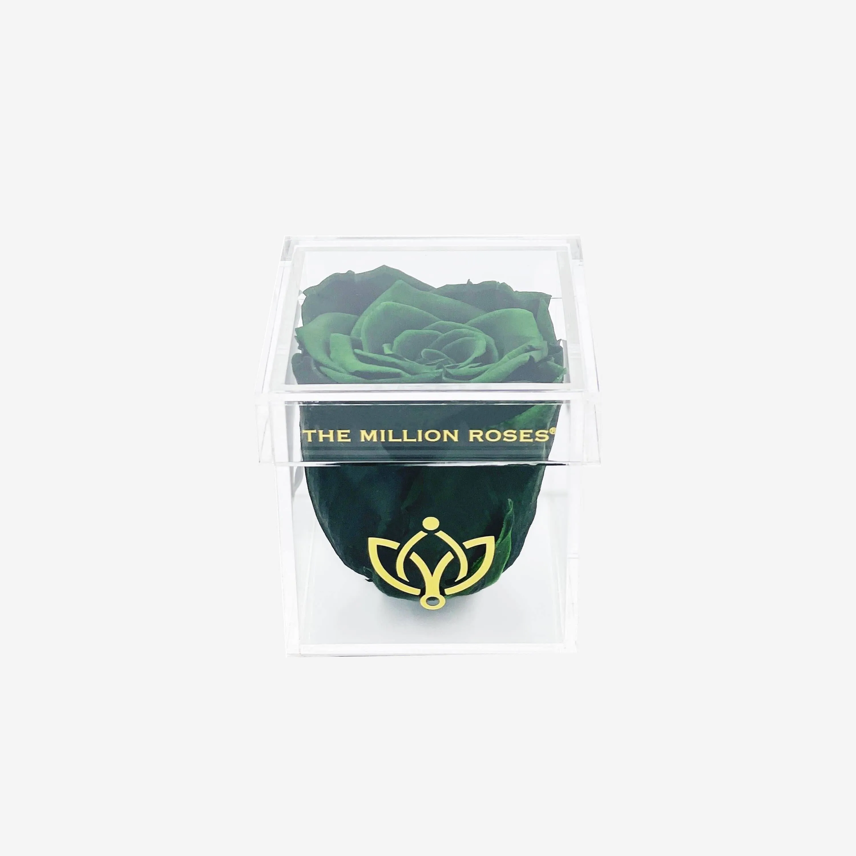 Acrylic Single Box | Dark Green Rose